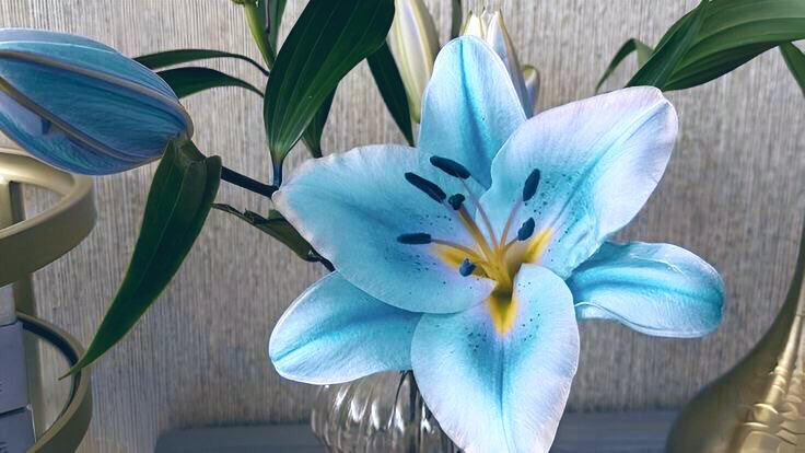 #27: The Lucky Girl Syndrome Era, ♥︎ tweet media