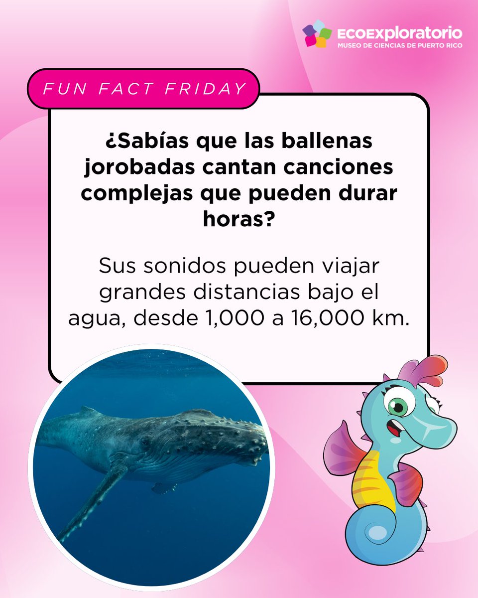 ECOEXPLORATORIO tweet media