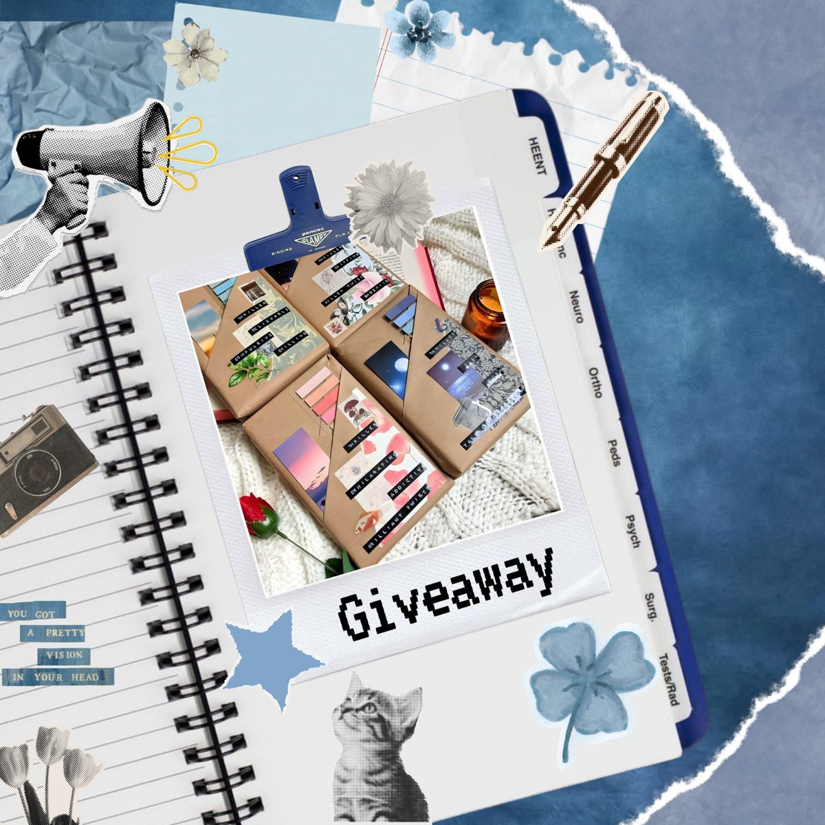 Ran🏕️ tweet media