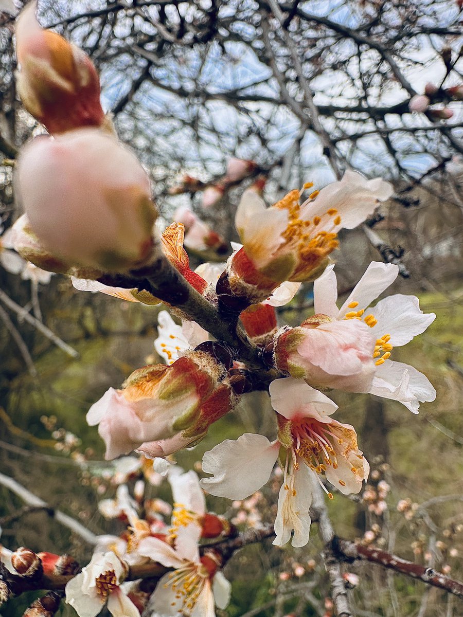 bahar havası ☘️