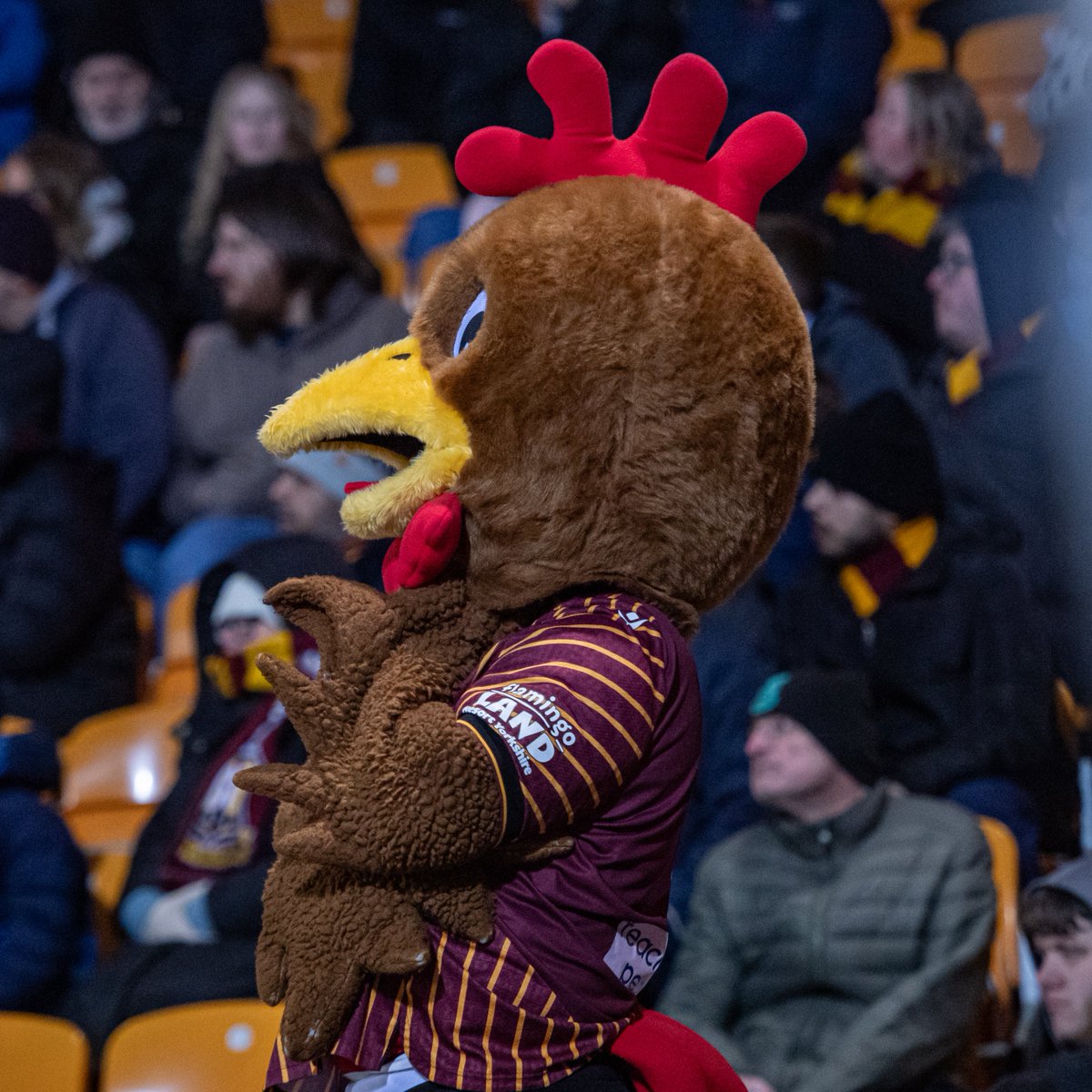 Billy Bantam tweet media