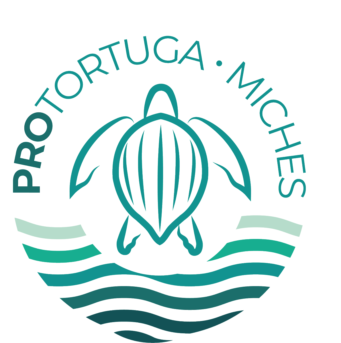 javiernoguera66's tweet photo. Protortuga da a conocer el inicio de la temporada de anidación de tortugas marinas en Miches, Rep. Dominicana https://t.co/BHuvmzEUYh @PROMICHES @AmbienteRD @PresidenciaRD @ALBERTOCAMINERO @Comunicaciondo @JoseRamonReyesL https://t.co/QxsUQBndER
