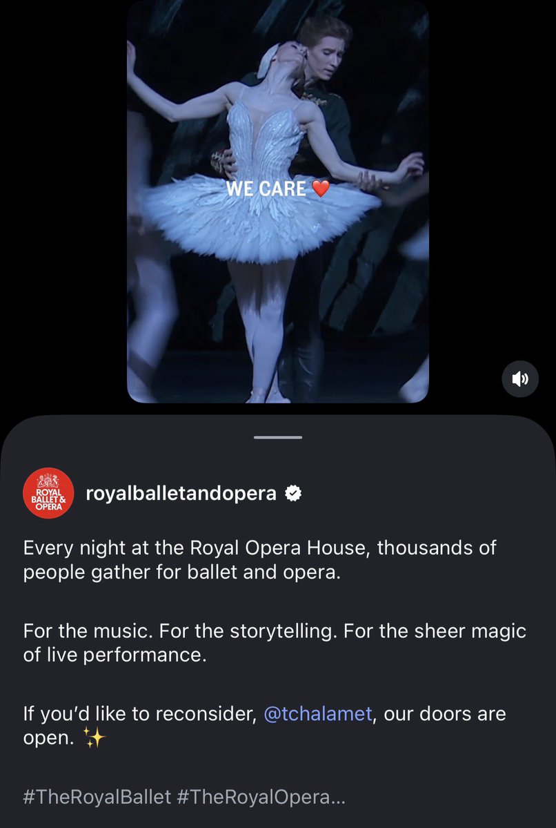 M ✨🪻 tweet media