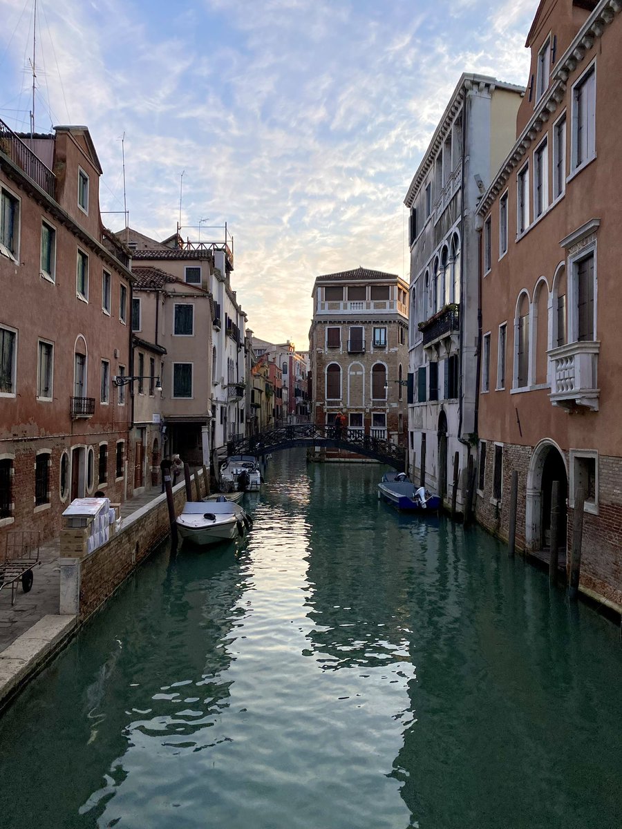 Teatro La Fenice tweet media