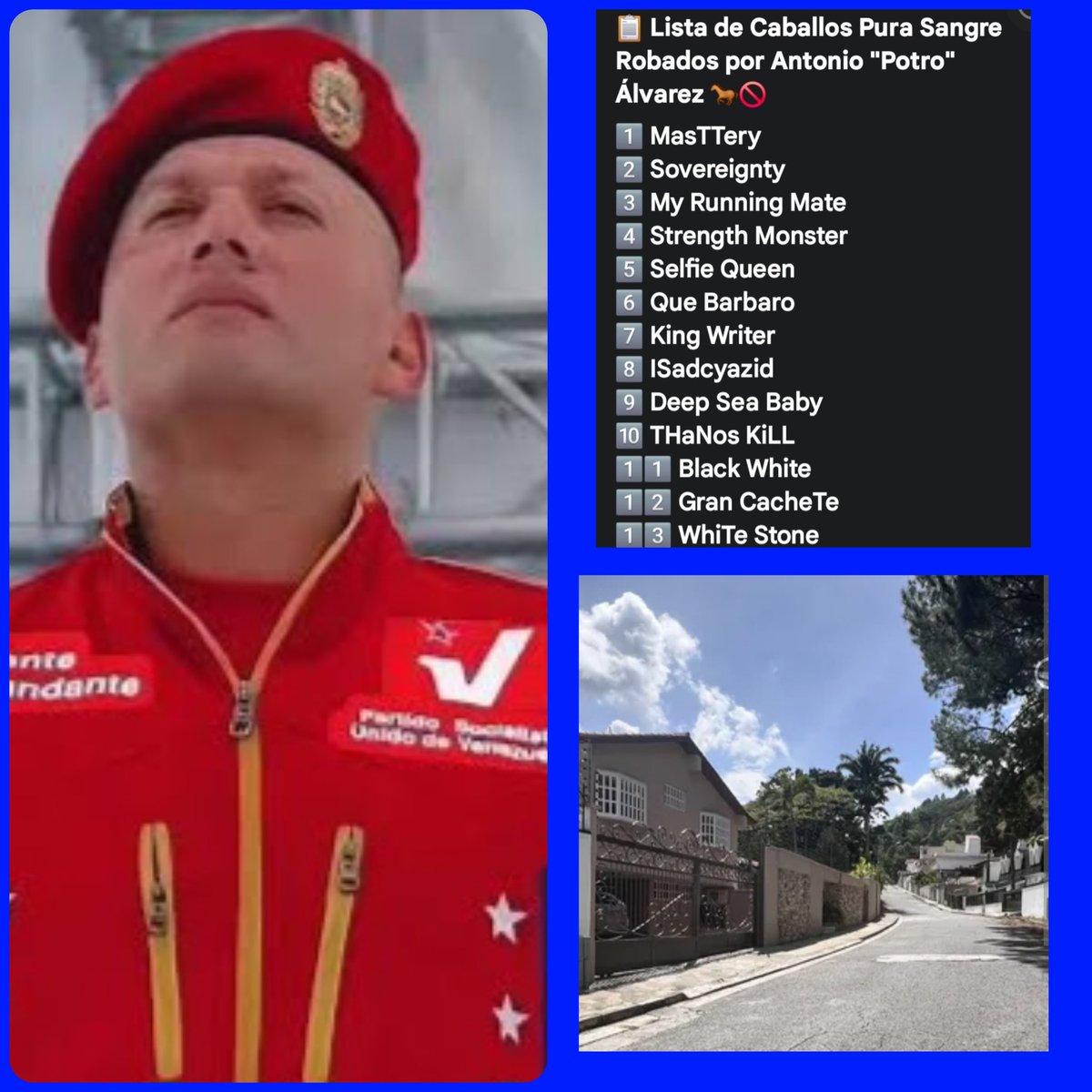 meridarebelde18's tweet photo. 🚩¡SAQUEO ROJO! 
Antonio "Potro" Álvarez Ex-Presidente INH. Aquí la lista de los 13 pura sangre robados. Posee una Quinta de $7M en los Altos Mirandinos y un Apartamento de $11M en Jade Brickell Bay en Miami una de las zonas más exclusivas. 
¡Comunismo de lujo! 🔥🇻🇪 #Corrupcion https://t.co/m3aBVtQF6p