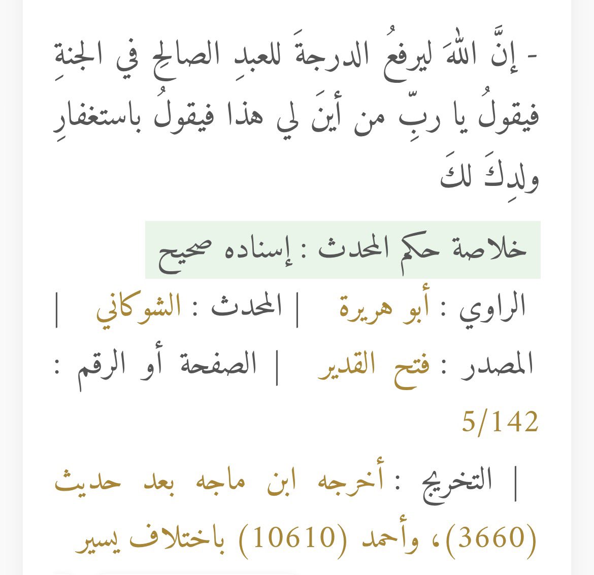 حمدان الراجحي Hamdan Alrajhi tweet media