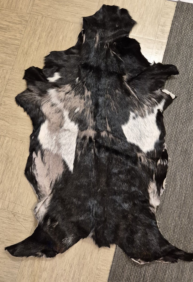 andreaurbanfox_'s tweet photo. Genuine Goatskin Hide Rug Real Leather https://t.co/PGs7o6Z1ed 
#HomeDecor https://t.co/XTLzwMfLZ4