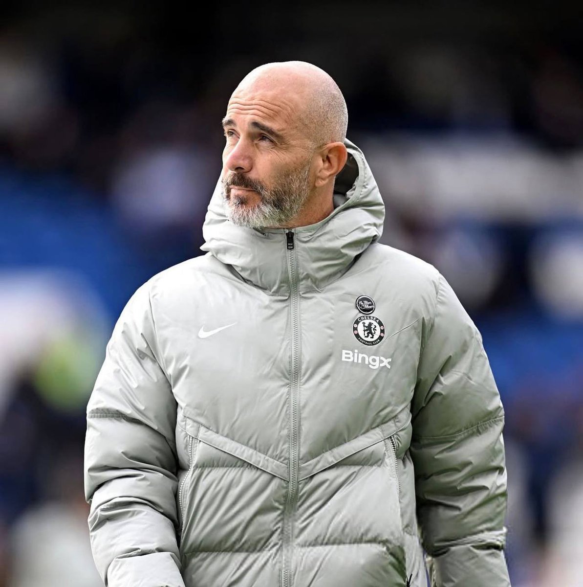 Felix⭐️ tweet media