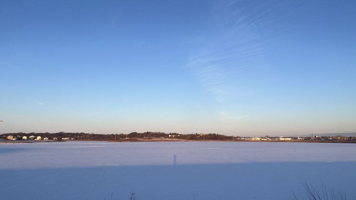 Kuni Nishimura / 西村 邦裕 tweet media