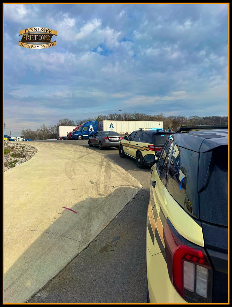 THPFallBranch tweet media