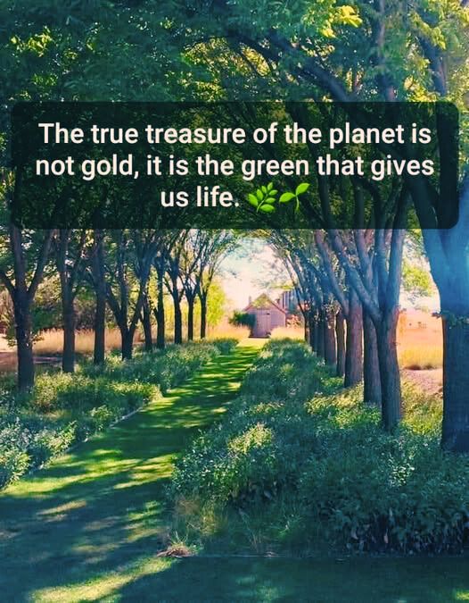 Consumers Association Penang tweet media