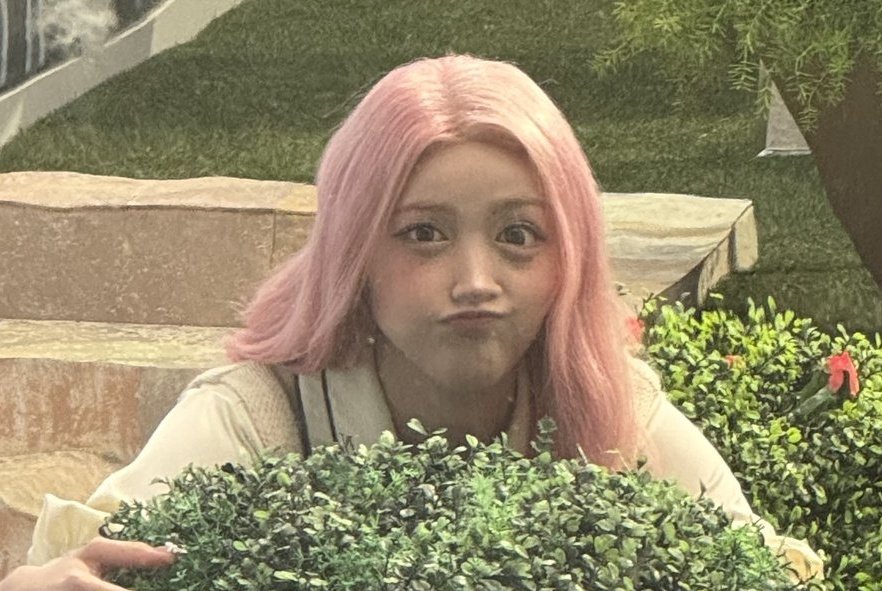 하투하 유일메보 발리걸🌴 tweet media