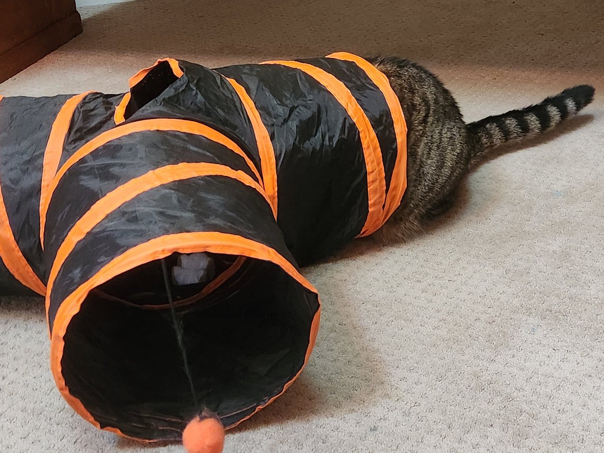 PhiBetaCat1's tweet photo. @TheStourbridge Tunnel Inspector https://t.co/LZFJua6dQX