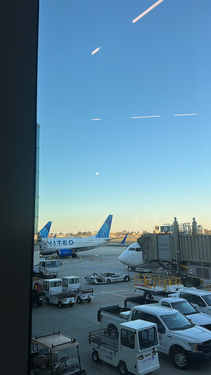 Andrea Wong tweet media