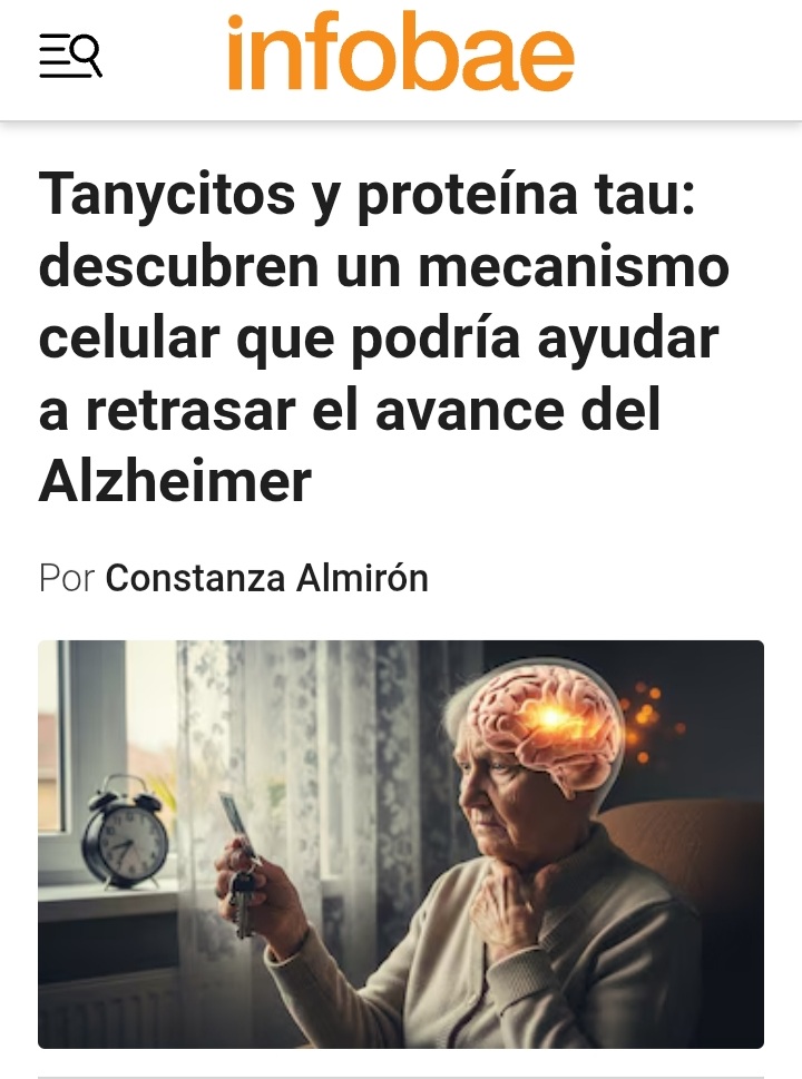 Cuando un medio se hace el dolubo y juega para que se aumente la edad jubilatoria <a href="/infobaeamerica/">Infobae América</a> <a href="/infobae/">infobae</a> mejor escriban sobre el crecimiento de enfermedades mentales