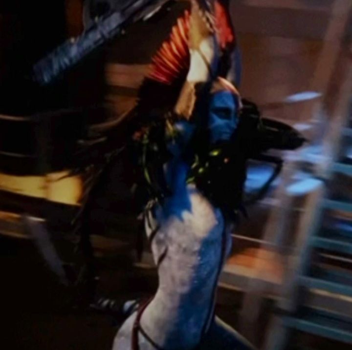 ꧁ Sila ꧂ tweet media