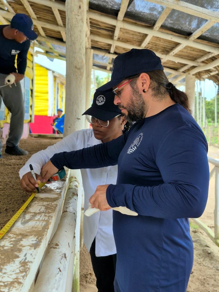 javiernoguera66's tweet photo. Protortuga da a conocer el inicio de la temporada de anidación de tortugas marinas en Miches, Rep. Dominicana https://t.co/BHuvmzEUYh @PROMICHES @AmbienteRD @PresidenciaRD @ALBERTOCAMINERO @Comunicaciondo @JoseRamonReyesL https://t.co/QxsUQBndER