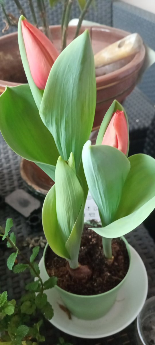 แ
* เฟ ๐ป๐๐ ๐๐๐๐๐๐'๐ ๐ ๐๐๐๐๐๐ หณแ
แ
แ
แ
tweet media