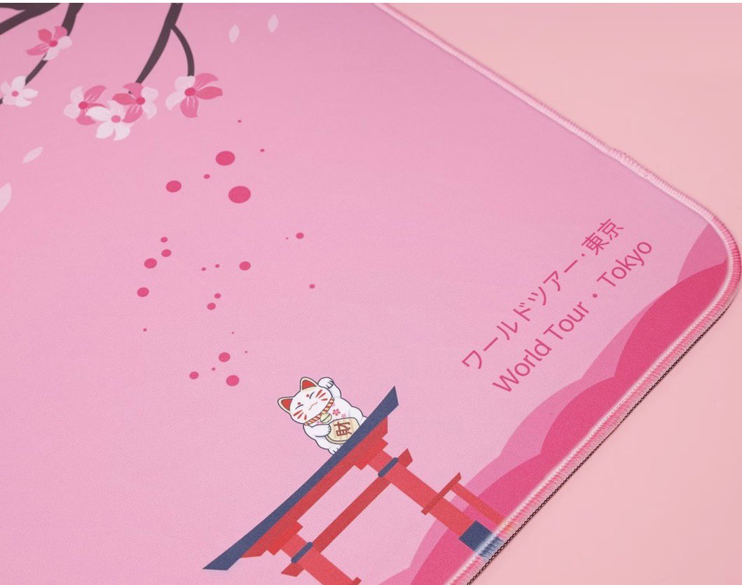 Y17 🇨🇭 tweet media