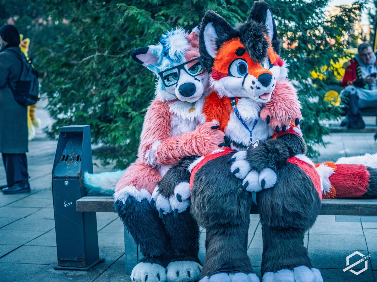 Artemis 🦊 🔜 CFZ tweet media