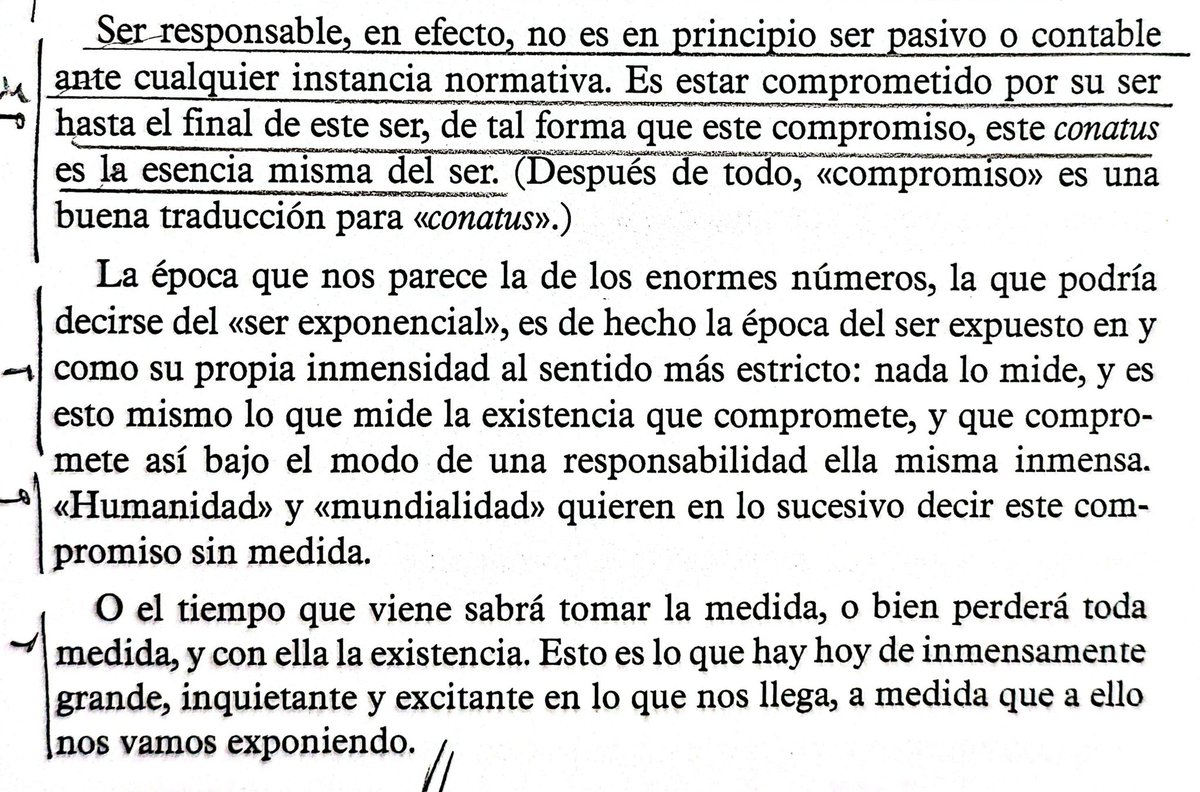 Jorge O. tweet media
