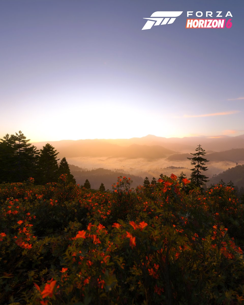 Forza Horizon tweet media