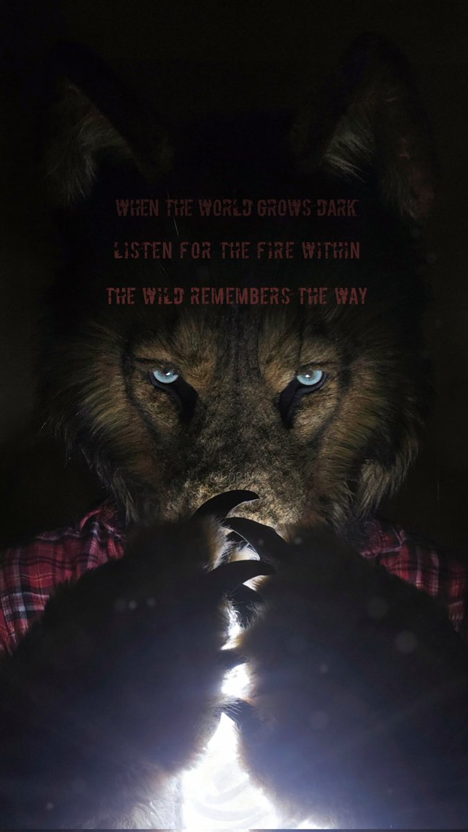 lobinez's tweet photo. Sometimes the darkness in this world feels overwhelming.
And I feel a fire burning inside me.

I’ve come to see that fire as my wild self urging me to care, protect, and act.

Maybe the wild within us still remembers the way. https://t.co/2bHg4A9SIu