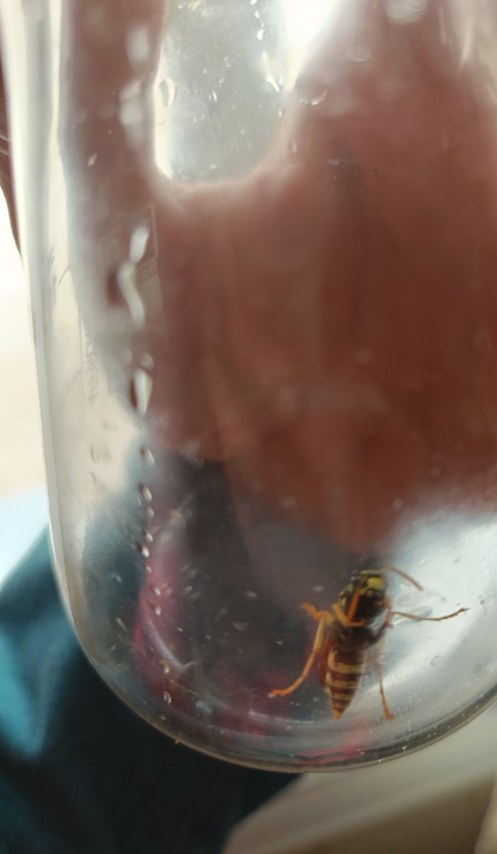 Ana_LaPatata tweet media