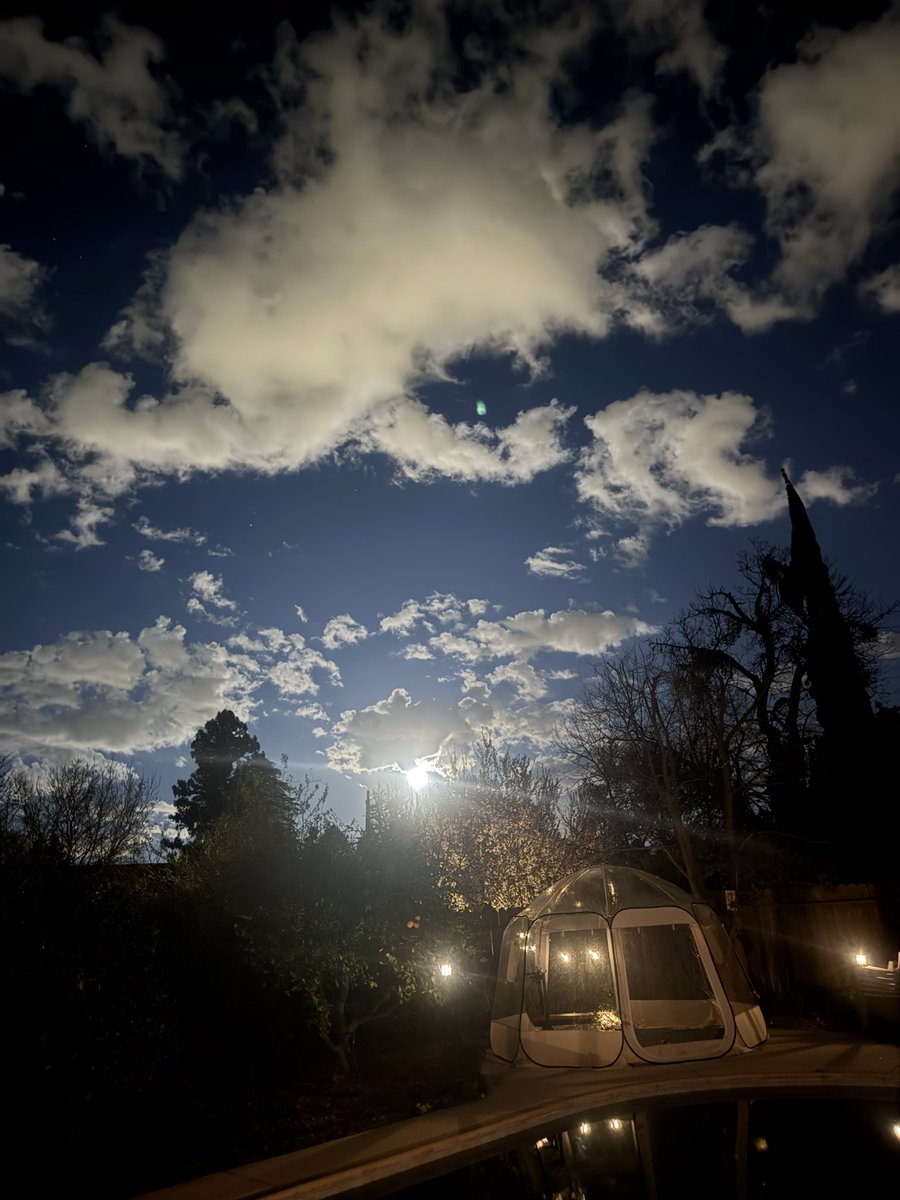 𝘿𝙧. 𝘾𝙧𝙮𝙨𝙩𝙖𝙡 𝙍𝙤𝙜𝙚𝙧𝙨 ≽(◕ ᴗ ◕)≼ 🐥🐸 tweet media