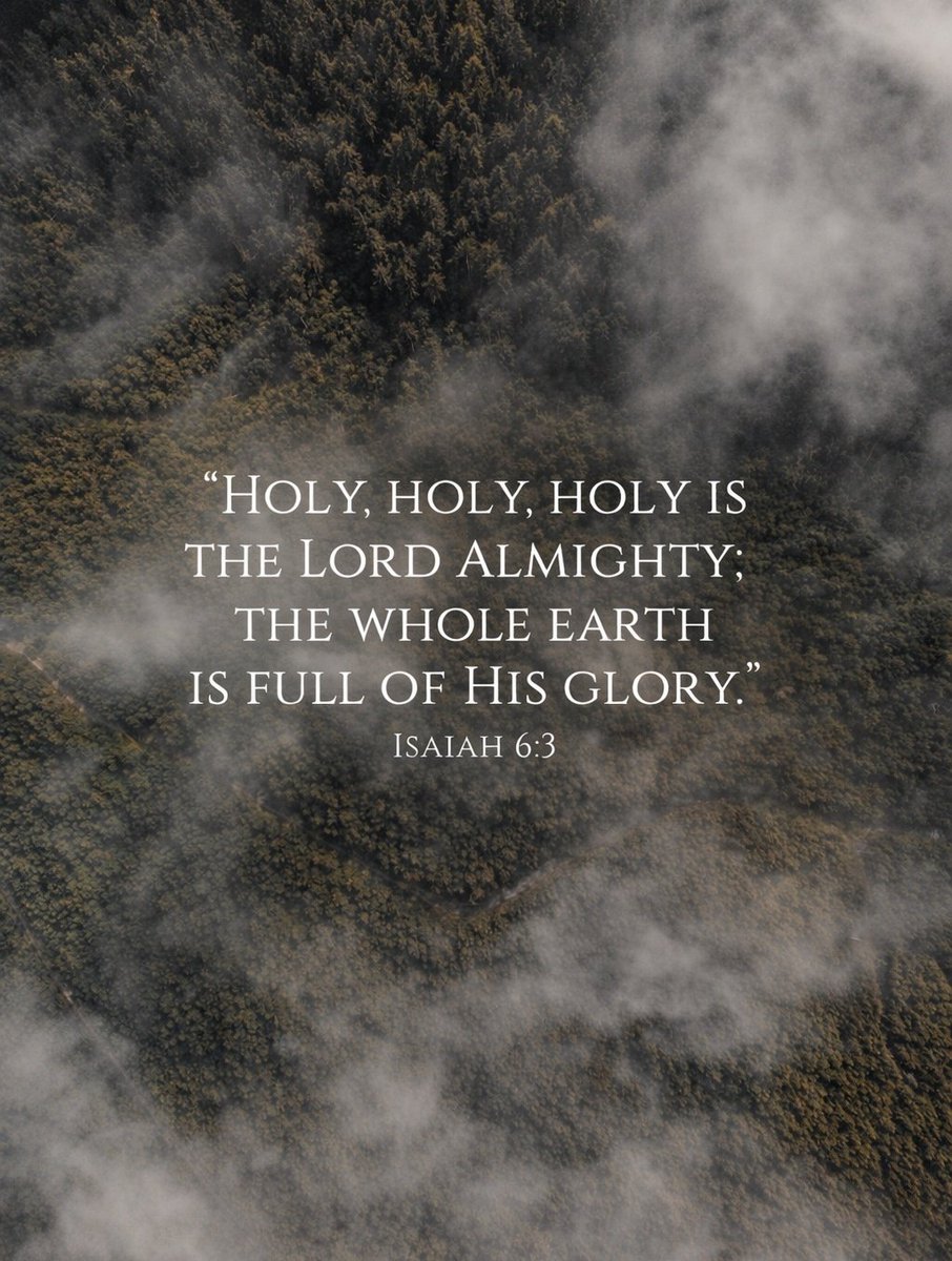 The Bible tweet media