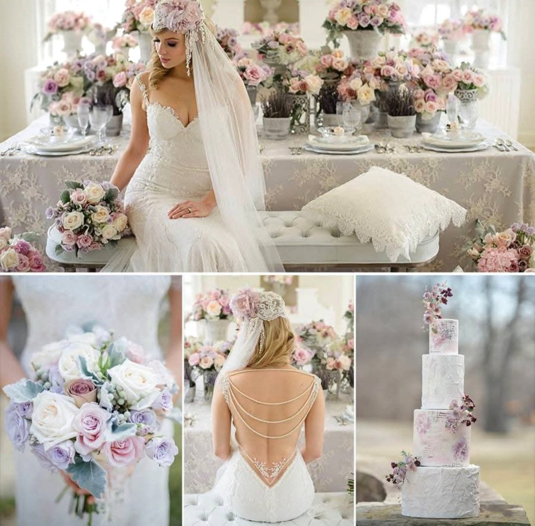 Barbara Gilleece tweet media