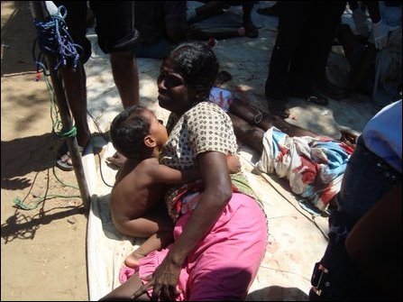 Tamil Genocide Education Project tweet media