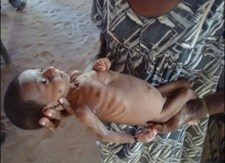 Tamil Genocide Education Project tweet media