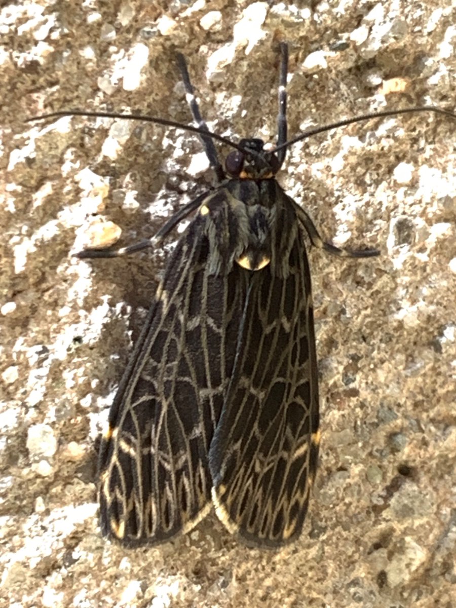 Blair McCutcheon tweet media