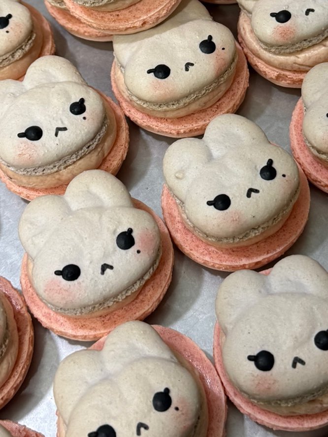 ZEROPERFECT tweet media