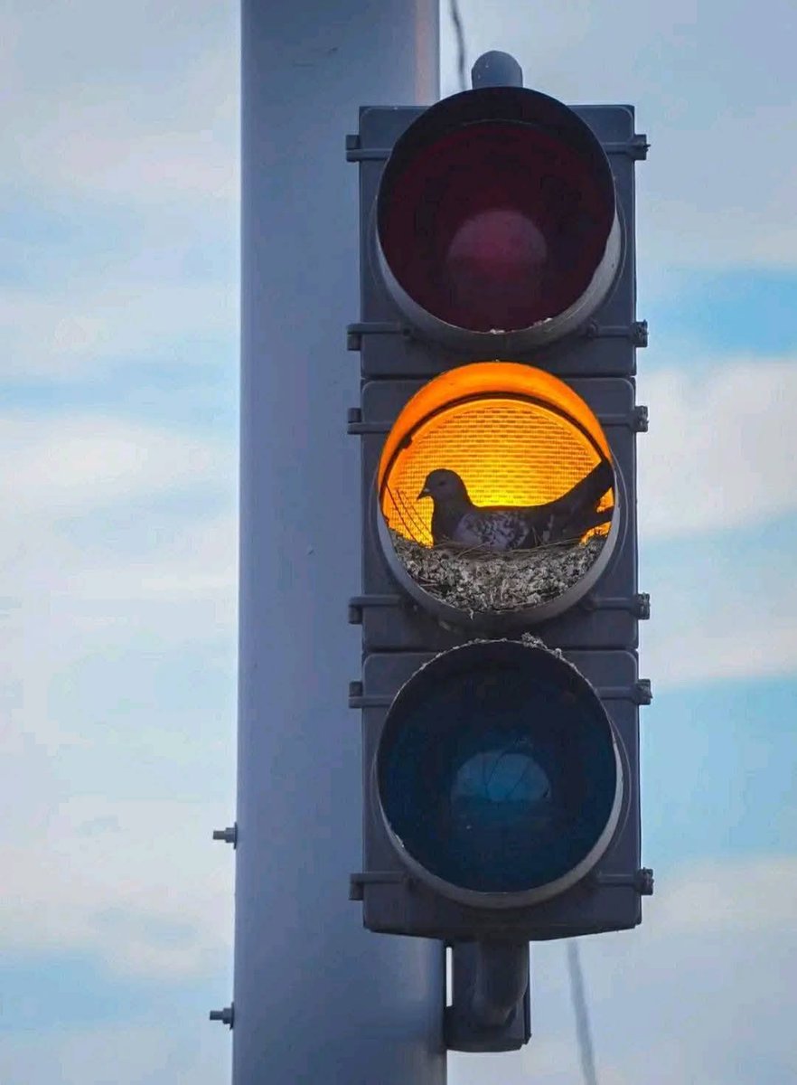 web.jpg (@webjpg) on Twitter photo 