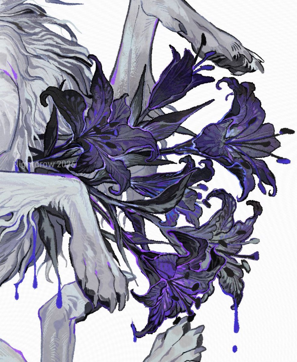 Nightcrow tweet media