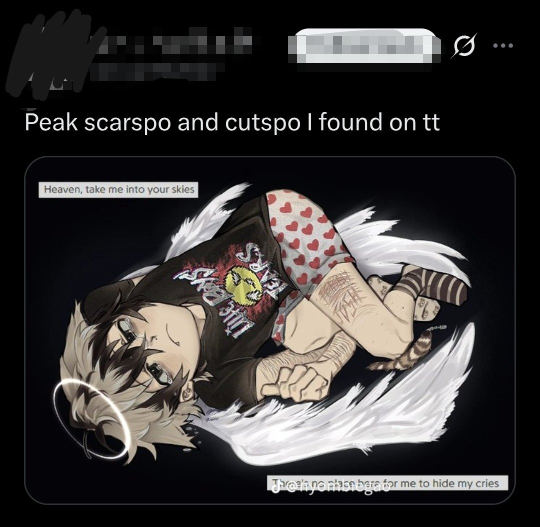 caiden!! 𐂯 tweet media