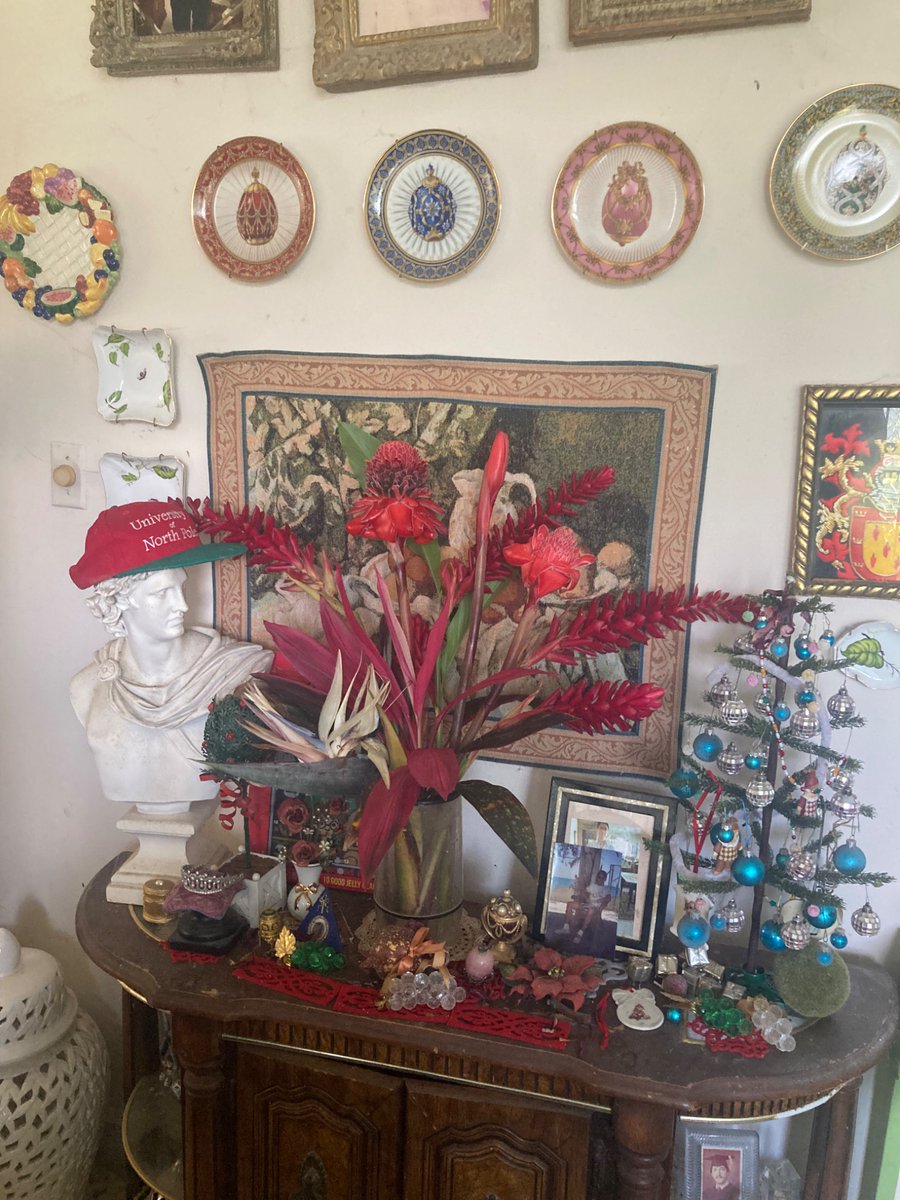 mikelestat1's tweet photo. #weekendflowers Ave del Paraíso (Strelitzia nicolae) Torch Ginger(Etlingera elatior)  Red Ginger (Alpinia purpurata,rubrum )RedDracaena (Dracaena terminalis) https://t.co/cgcLdFvMno