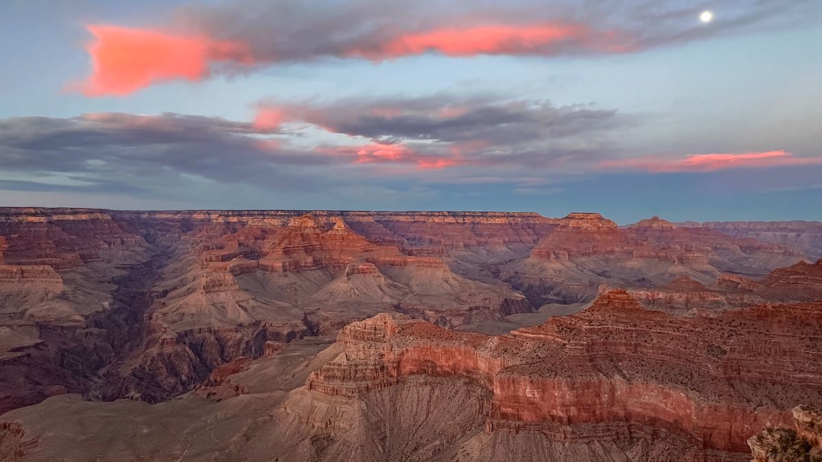 Western Priorities tweet media