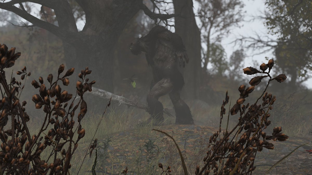 Fallout Deutschland tweet media