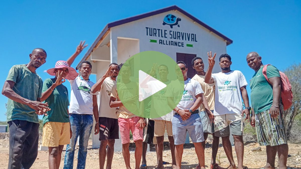 Turtle Survival Alliance tweet media
