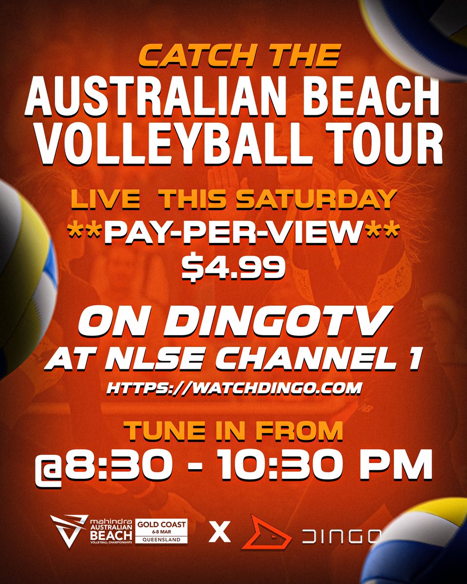 Dingo TV tweet media