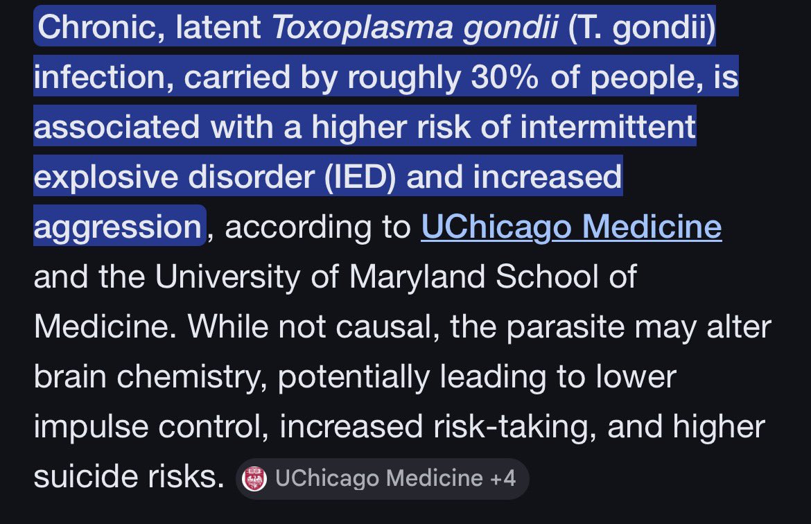 Br0k3n World tweet media