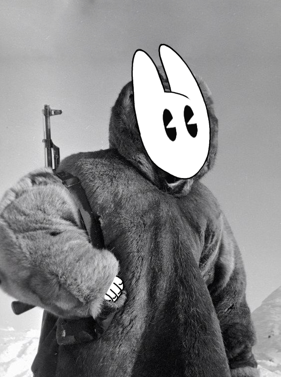 Hop Louie tweet media