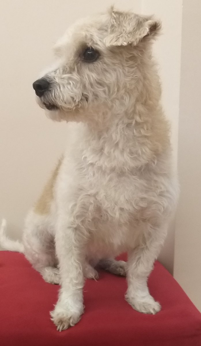 Necati Çağlan Erim tweet media