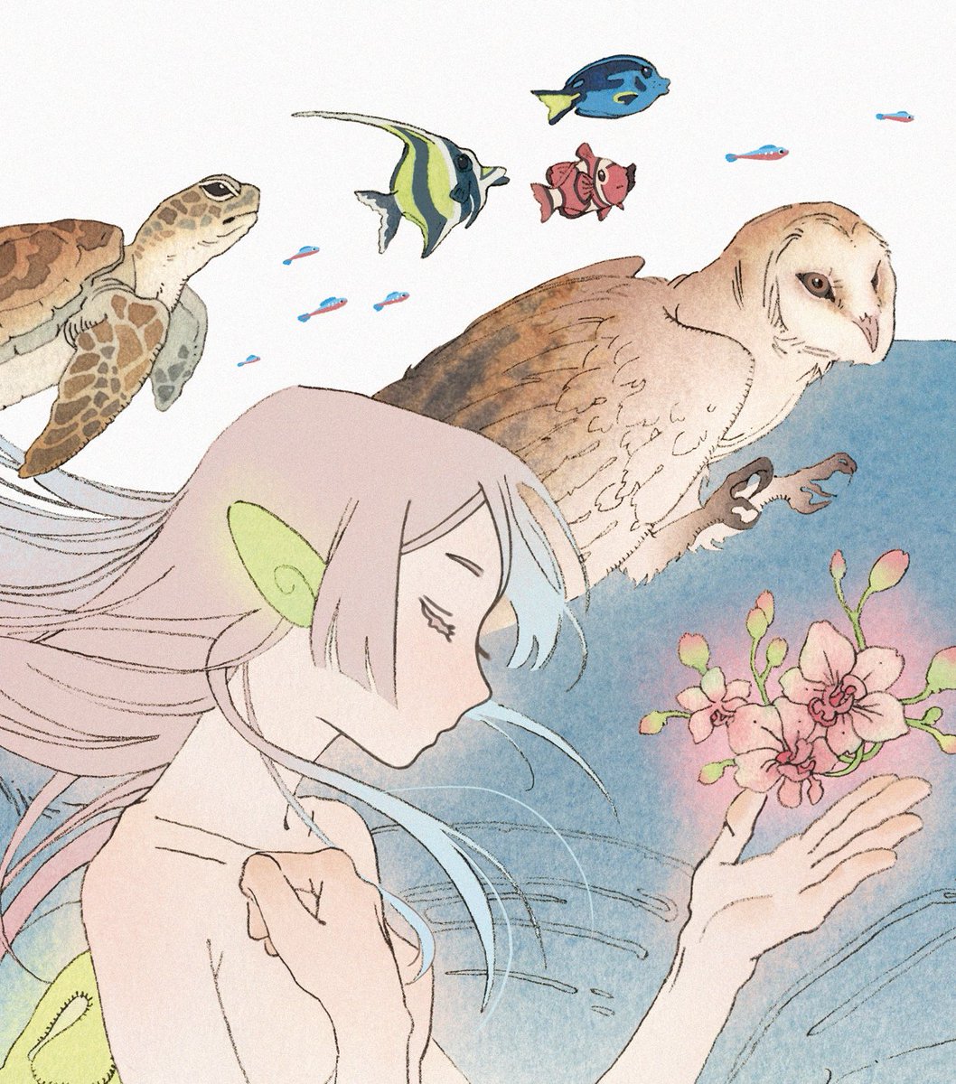 vinsenta 🕊 tweet media