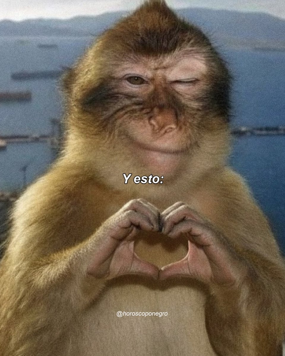 Diferentes versiones, sí, pero la mejor vibra 😘