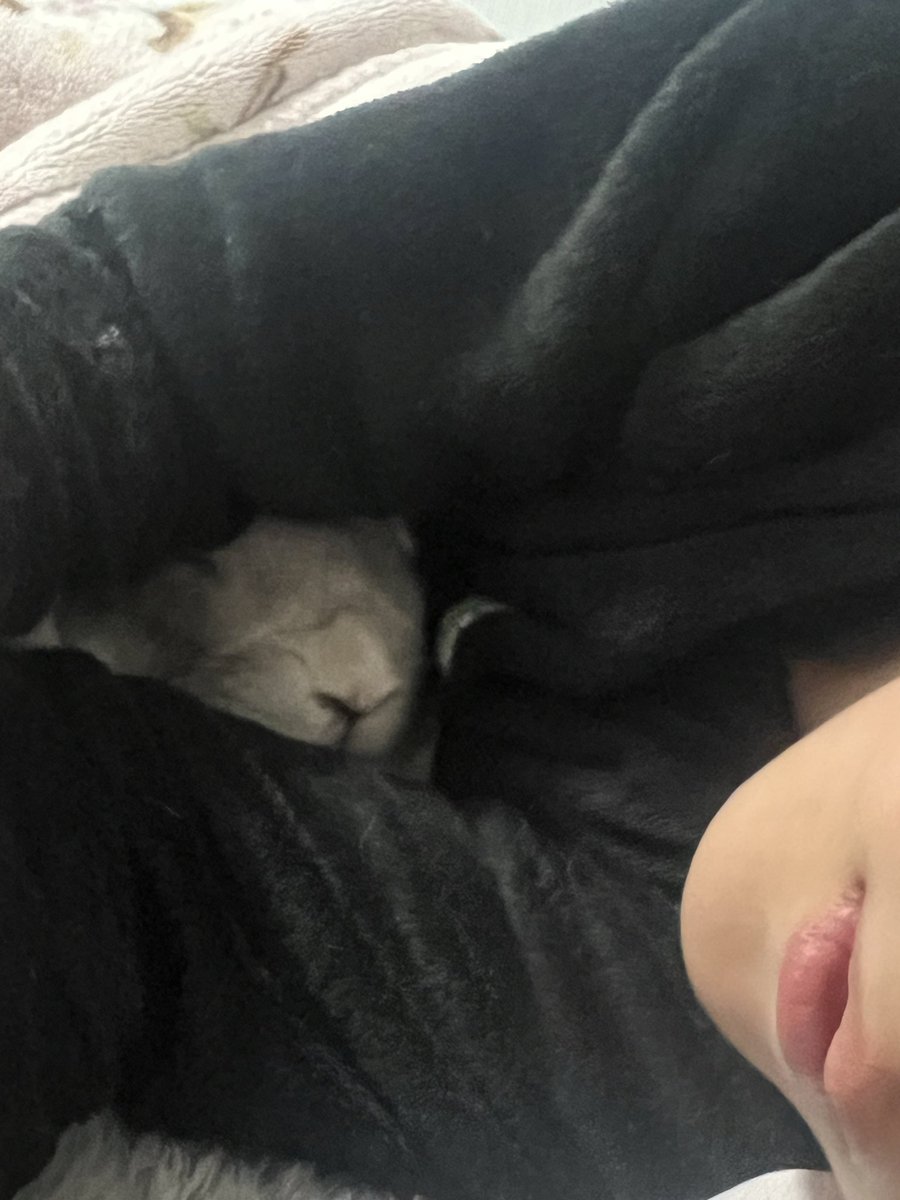 R...🎀❕ tweet media