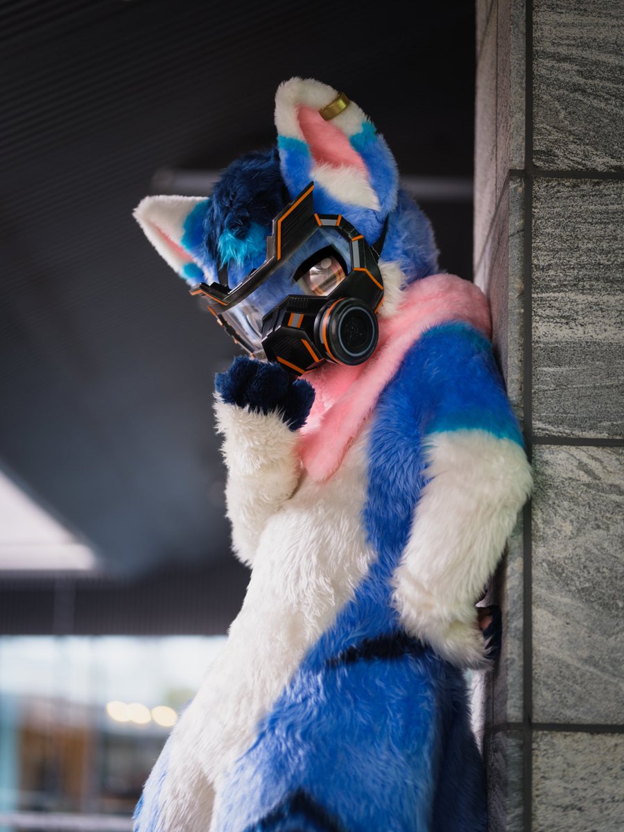 橙色噬元兽🔜Hifurry tweet media